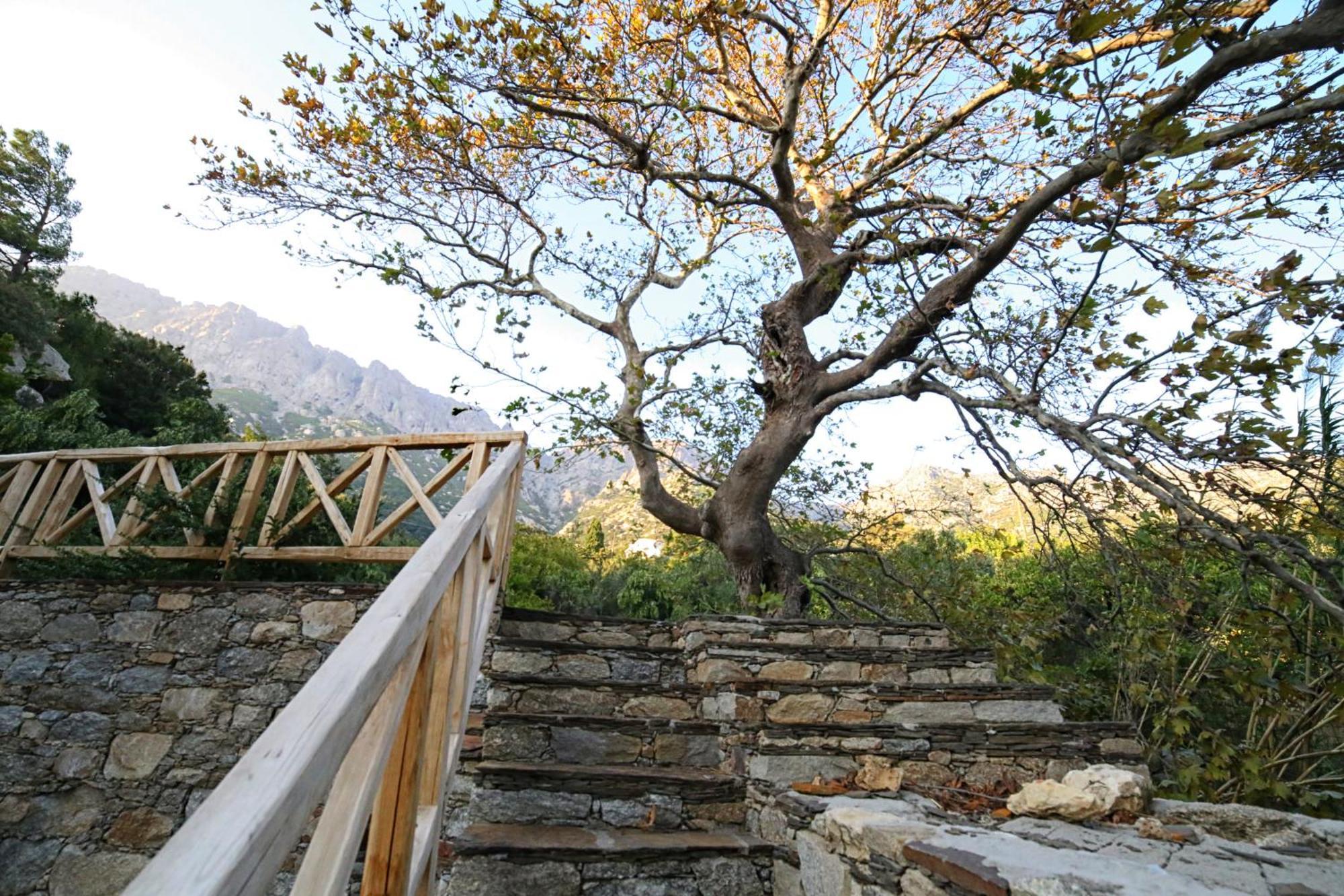 Ικαριων Γη Villa Manganitis Bagian luar foto